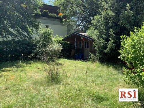 RSI Bild f Online